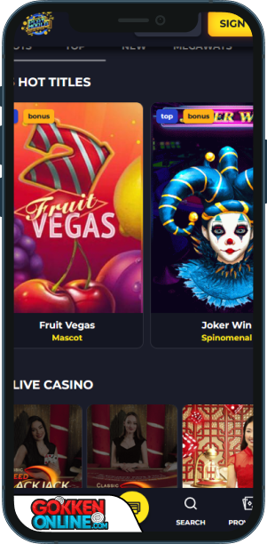 Playmoola Casino Mobiele app