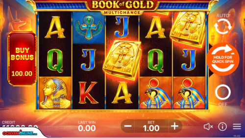 Book of Gold Multichance