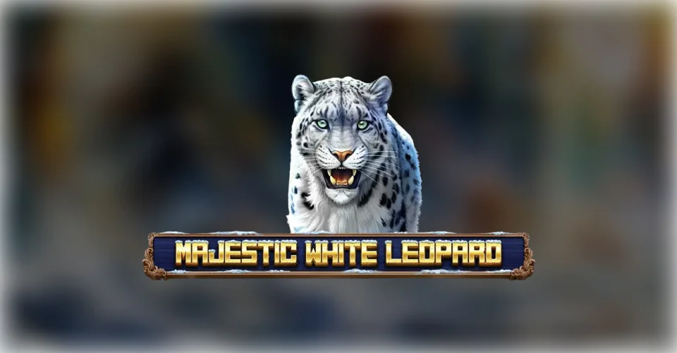 Majestic White Leopard