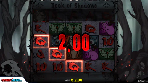 Book of Shadows Demoplay Wint